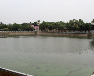 Nanganallur Temple Pond Walking Track