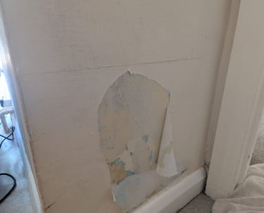 a picture of a bathroom with a toilet paper roll