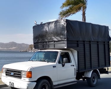 Transporte de mudanza mediano