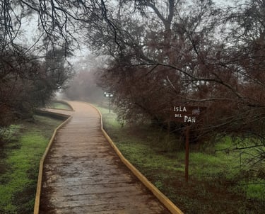 Parque Nacional Las Tablas de Daimiel. La confluencia de los  ríos Guadiana y Cigüela.