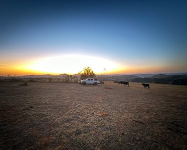 Voos panorâmicos de Paratrike, Tiradentes, São João Del Rei e Campos das Vertentes