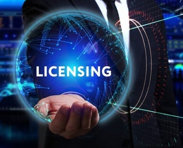 Licensing Assistance