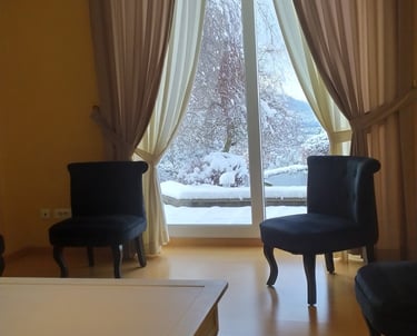 Fauteuils dans 2ème salon/bibliothèque