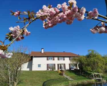 Maison avec fleurs de printemps
