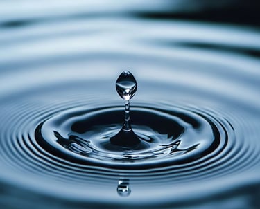 Water Restoration