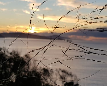 being to close we lose the view
