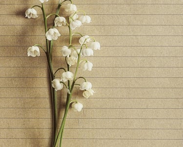 Patterns are like pages we can read