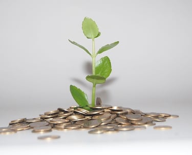 Epargner et capitaliser