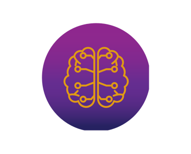 a brain map of a brain and a brain