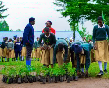Students participate in trees planting exercise