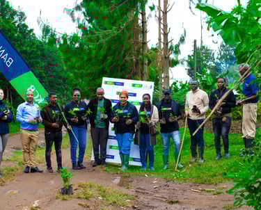 A group of changemakers ready to plant trees at Mt. Kivesi Arusha