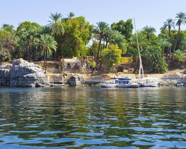 a boat on the water with palm trees in the background
