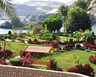 a garden with a gazeboar and a gazeboar