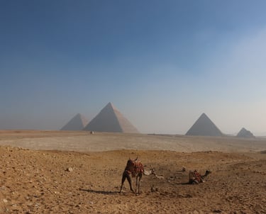 a camel in the desert with pyramids and pyramids