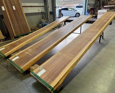 Three long, natural edge raw wood lumber planks displayed on sawhorses in a woodworking workshop.