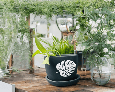 Ceramic Planters