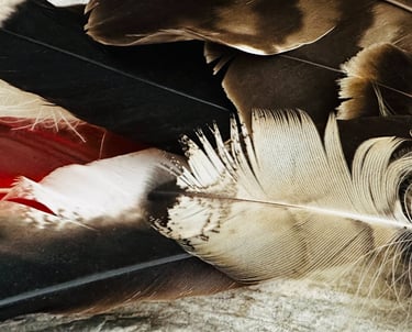 Soins énergétiques complémentaires à la médecine conventionnelle pour enfants, adultes et séniors