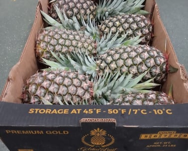 piña en caja. fruta tropical de mexico