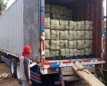 The process of loading dried gracilaria seaweed into containers for delivery to export buyers.