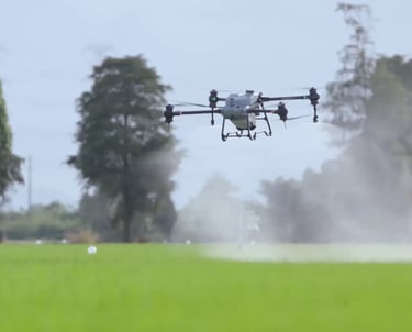 drone flying and spraying herbicide
