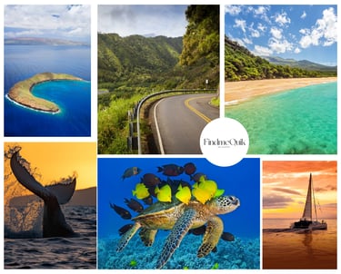 Hawaii, Maui beaches, snorkeling, whale watching, sunset cruise and Hana Drive