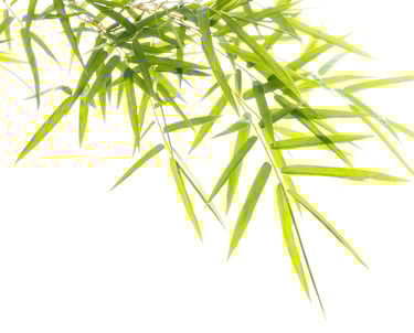 La Bulle Sauna Espace spa