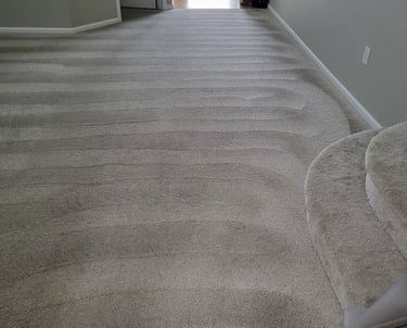 Beautiful, Spot Free, Clean carpet with King Organic Clean