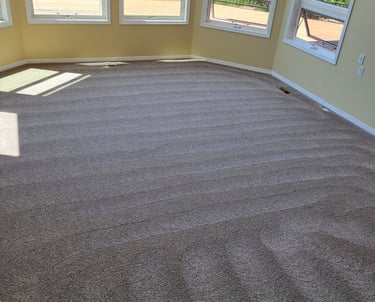 Spot Free, Dirt Free, Beautiful Results, With King Organic Clean, Organic Carpet Cleaning