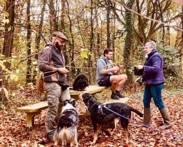 éducateur canin avec des chiens et leurs maitres en forêt