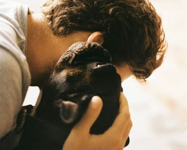 un chien et un humain font un câlin