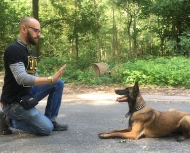 Éducateur canin qui travaille avec un malinois