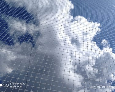 Pigeon Netting services