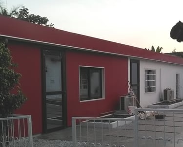 a horse is standing in front of a red building