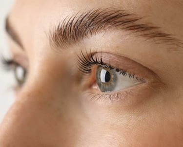 Nova - Wenkbrauwen, Browlift