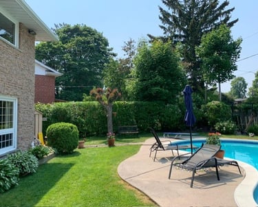 hedge and shrubs trimmed and perfectly shaped