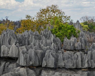 Tsingy de Bemaraha National Park (UNESCO site) - a surreal “stone forest” of limestone pinnacles