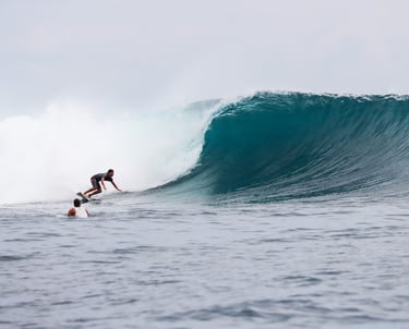 Surfer paddling into steep left at Scarecrows surf spot, Mentawai Islands