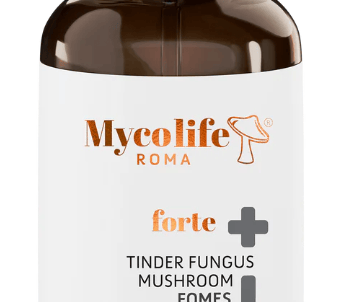 Mycolife Zunderschwamm Vitalpilz flüssig