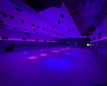 Speaker installer near me