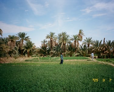 Lut Desert