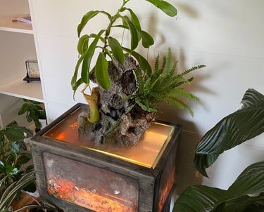 a mini waterfall in a unusual water planter