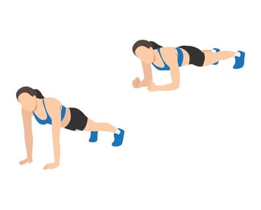 PRANCHA EXERCICIO