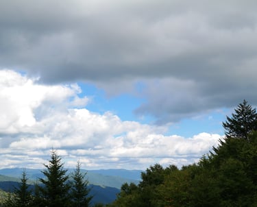 late afternoon in the Great Smoky Mountains