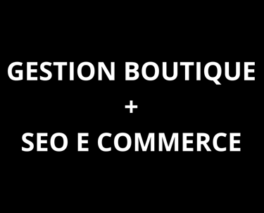 boutique ecommerce faire le seo