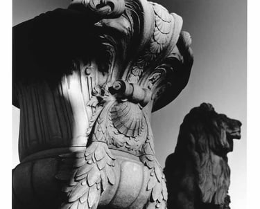 Sculpture of a Lion in Paris, France. Silver-gelatine analogue photography.