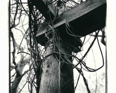 A wooden pilar in a garden in London