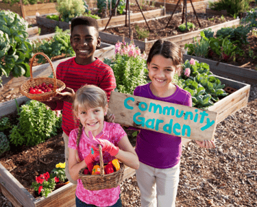 Kids at the community gardens
