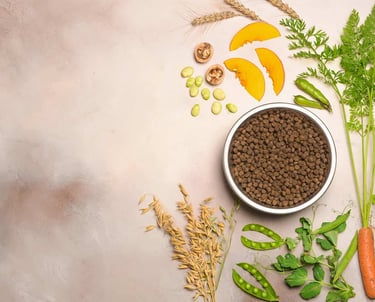 NUTRIÇÃO COMIDA NATURAL DAY CARE PET