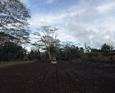 Land Clearing in Pahao, Hawaii