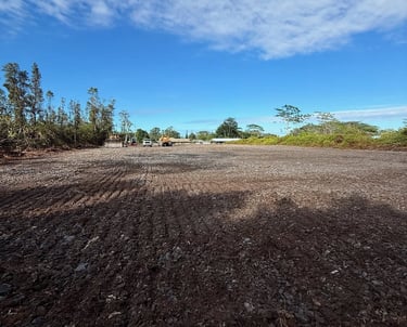 Land Clearing Keaau, Hawaii